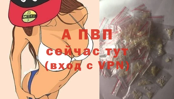 гашик Покачи
