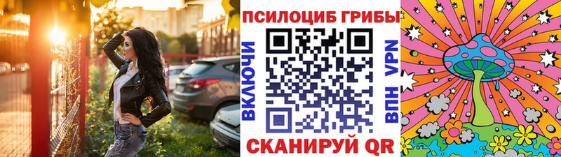 Псилоцибиновые грибы GOLDEN TEACHER  Тырныауз 